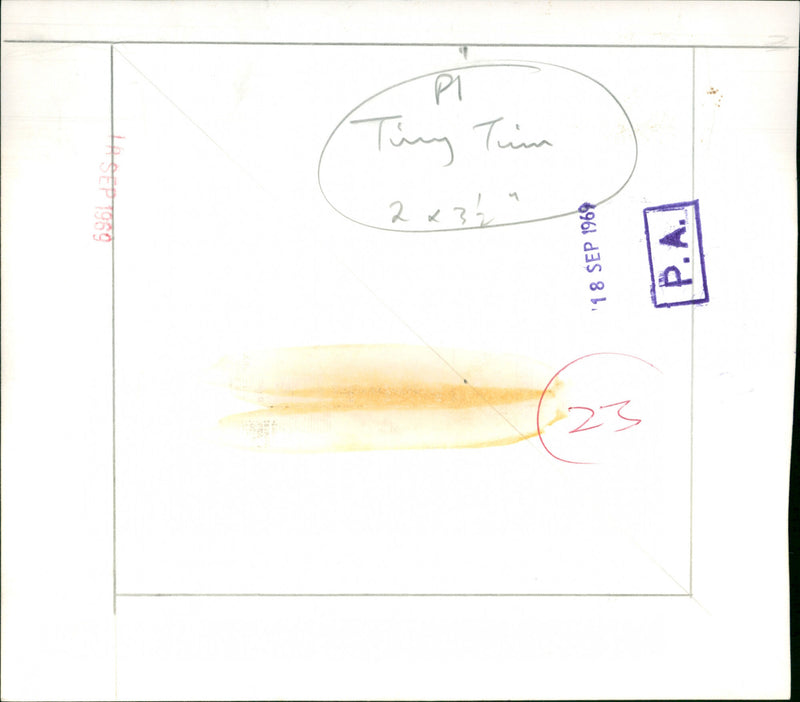 Tiny Tim - Vintage Photograph