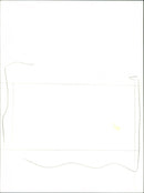 Walter Trout Band - Vintage Photograph