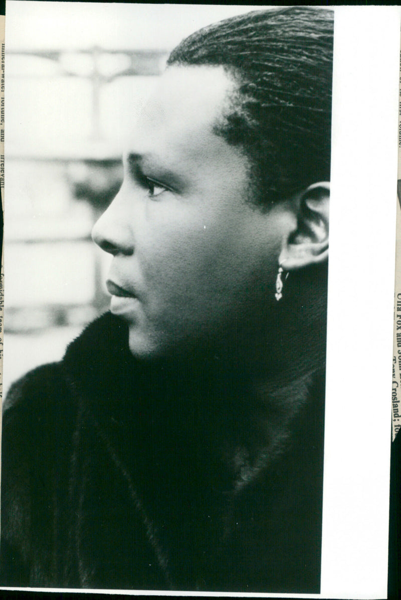 Sylvester - Vintage Photograph