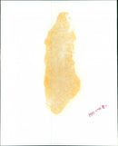 Mr. Pat Wall - Vintage Photograph