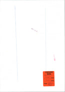 Diana, Princess of Wales - Vintage Photograph