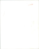 Raquel Welch - Vintage Photograph