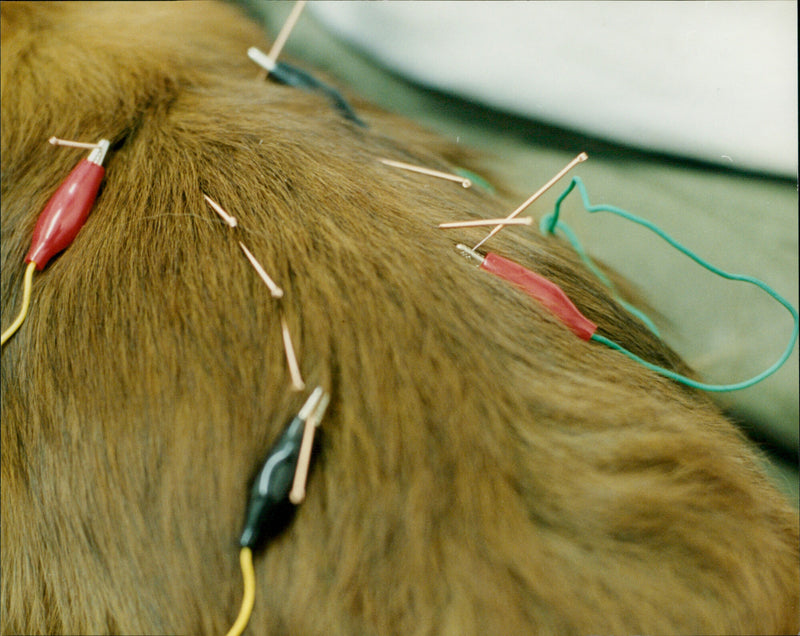 Jimmy Symmonds - Vintage Photograph