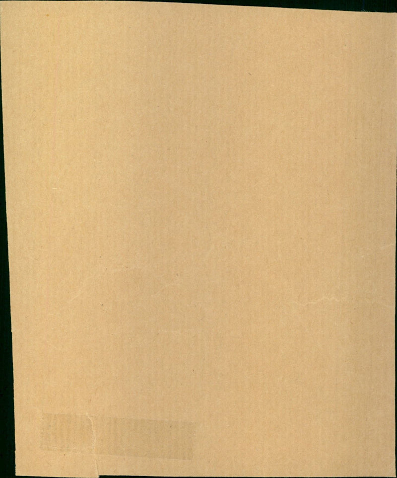 Go Karting - Vintage Photograph