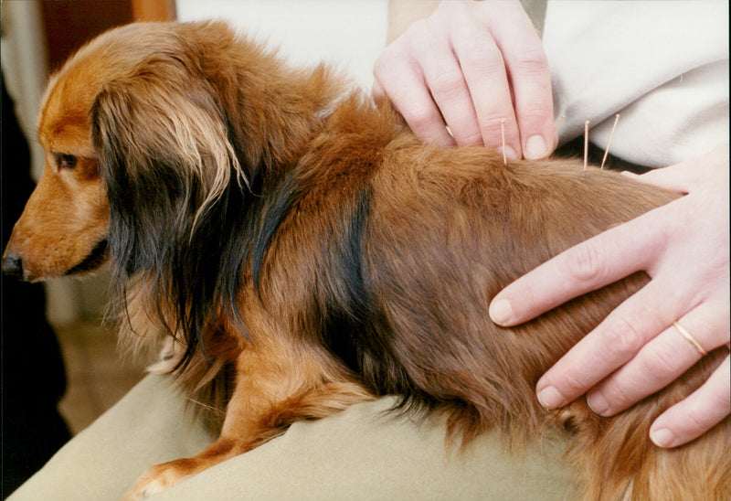 Jimmy Symmonds - Vintage Photograph