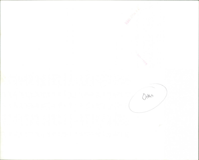 Otter - Vintage Photograph