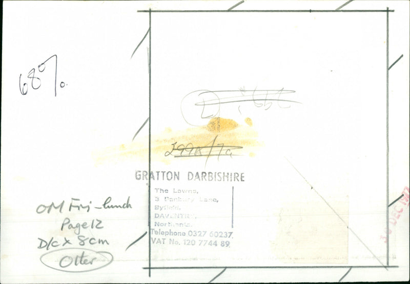 Otter - Vintage Photograph