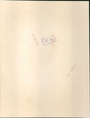 Raquel Welch - Vintage Photograph