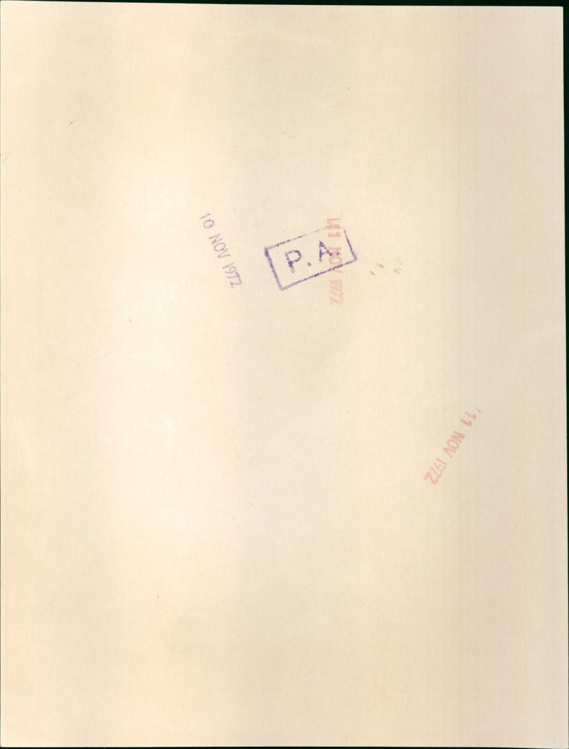 Raquel Welch - Vintage Photograph