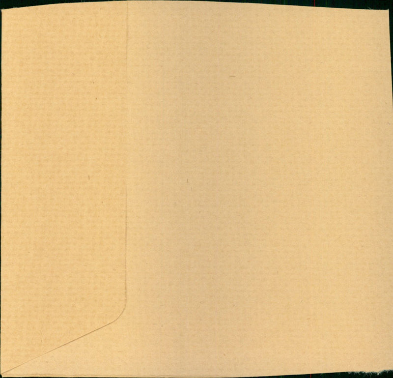 jane Webster - Vintage Photograph