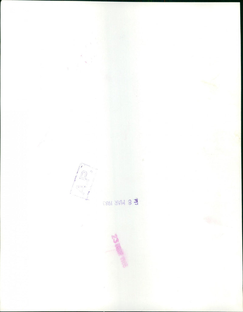 Sir William Walton - Vintage Photograph