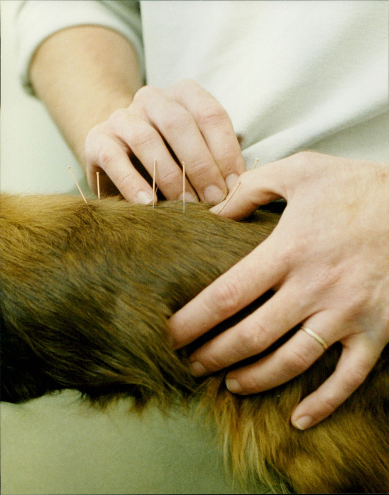 Jimmy Symmonds - Vintage Photograph