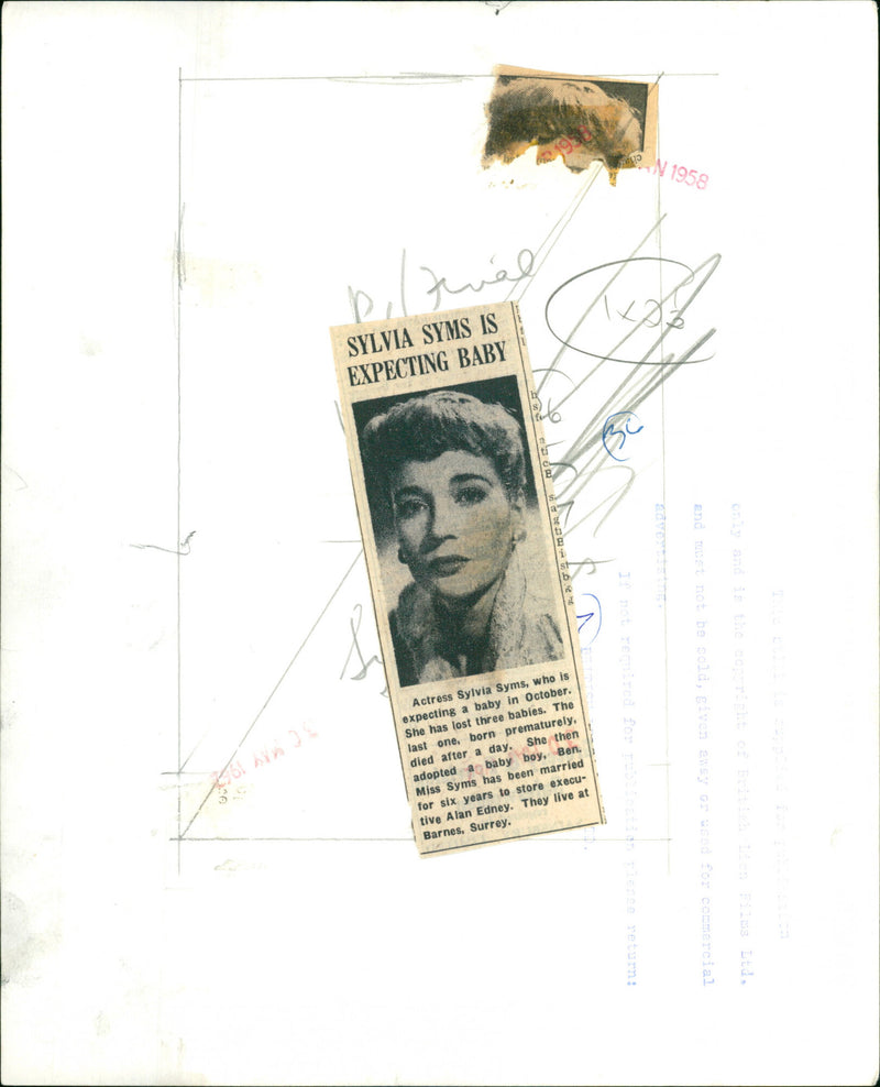 Sylvia Syms - Vintage Photograph