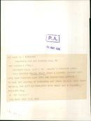 Raquel Welch - Vintage Photograph