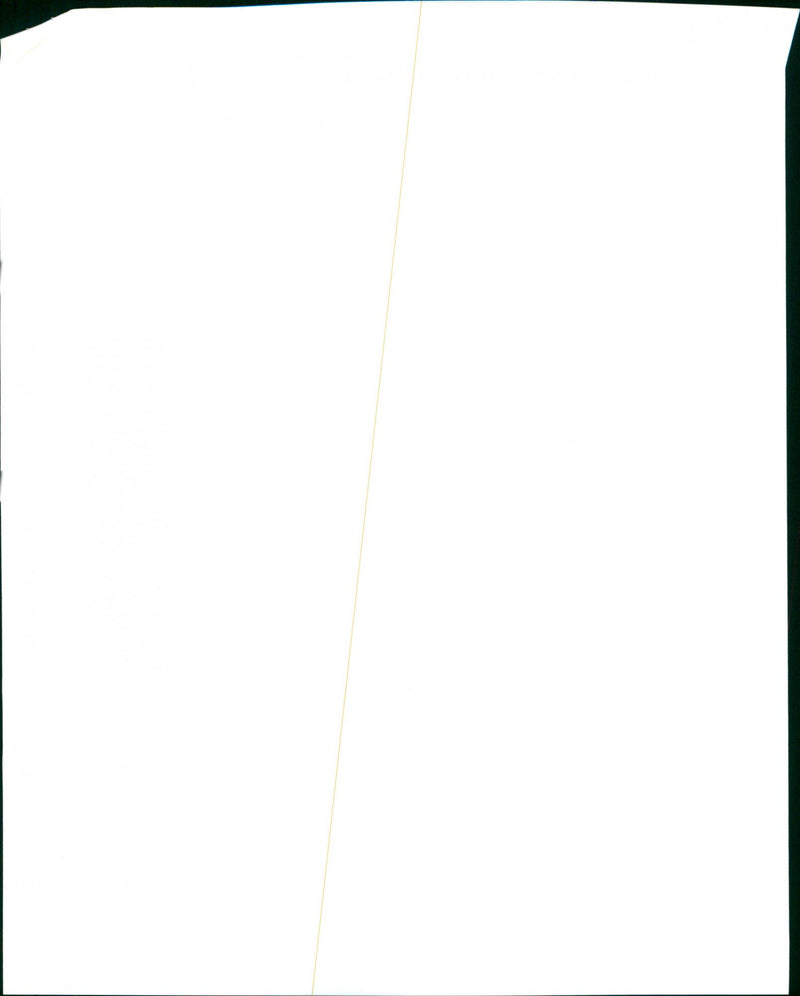 Paul Weller - Vintage Photograph