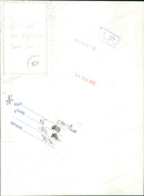 Janet Suzman - Vintage Photograph