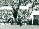 Alex Stepney - Vintage Photograph
