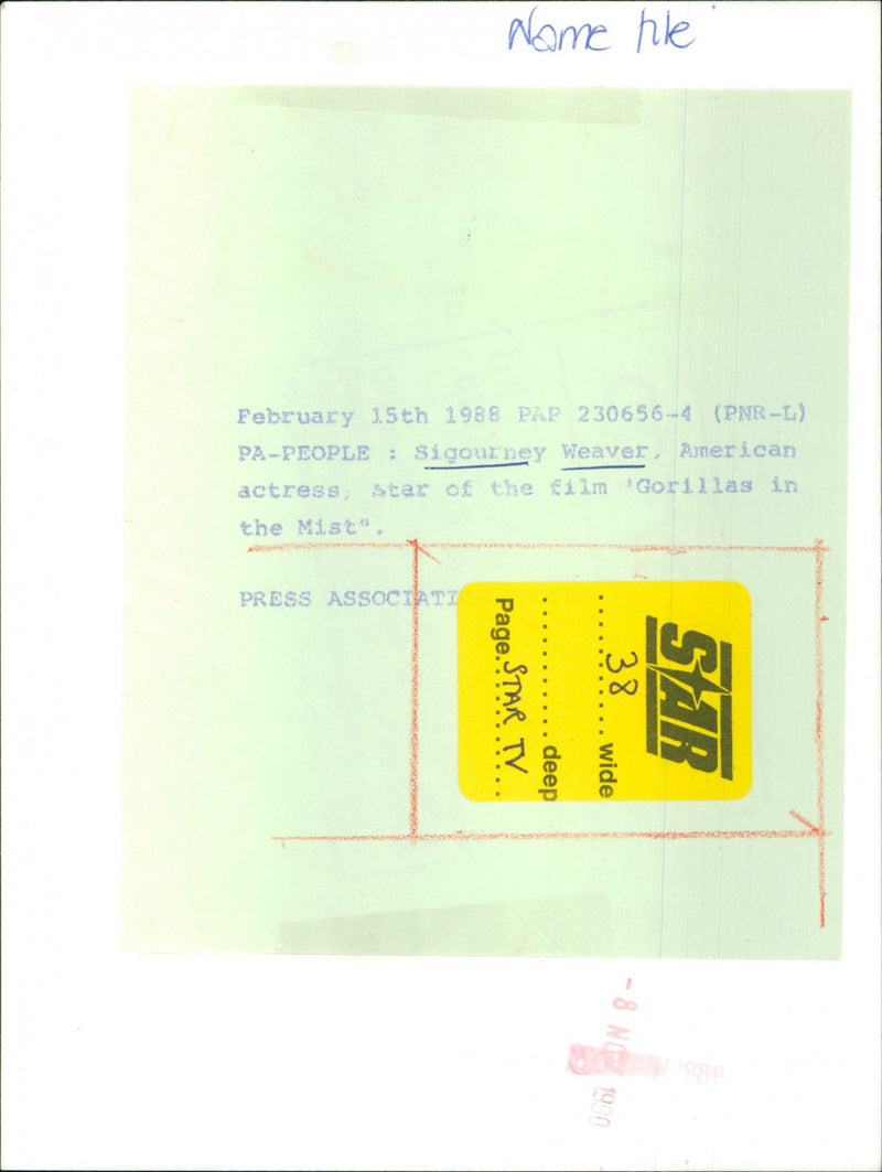 Sigourney Weaver - Vintage Photograph