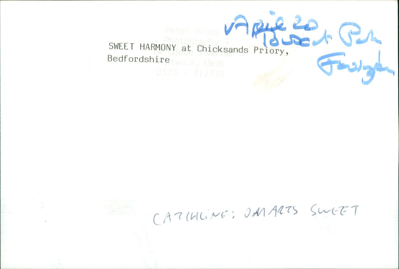 Sweet Harmony - Vintage Photograph