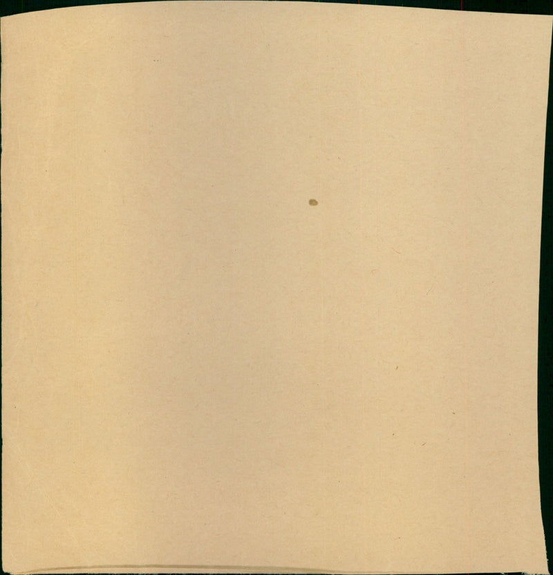 Ray Stewart - Vintage Photograph