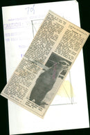 Otter - Vintage Photograph