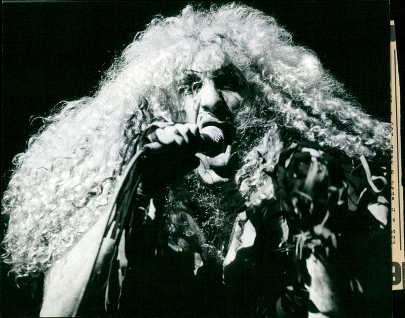 Twisted Sister - Vintage Photograph