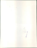 Sir William Walton - Vintage Photograph