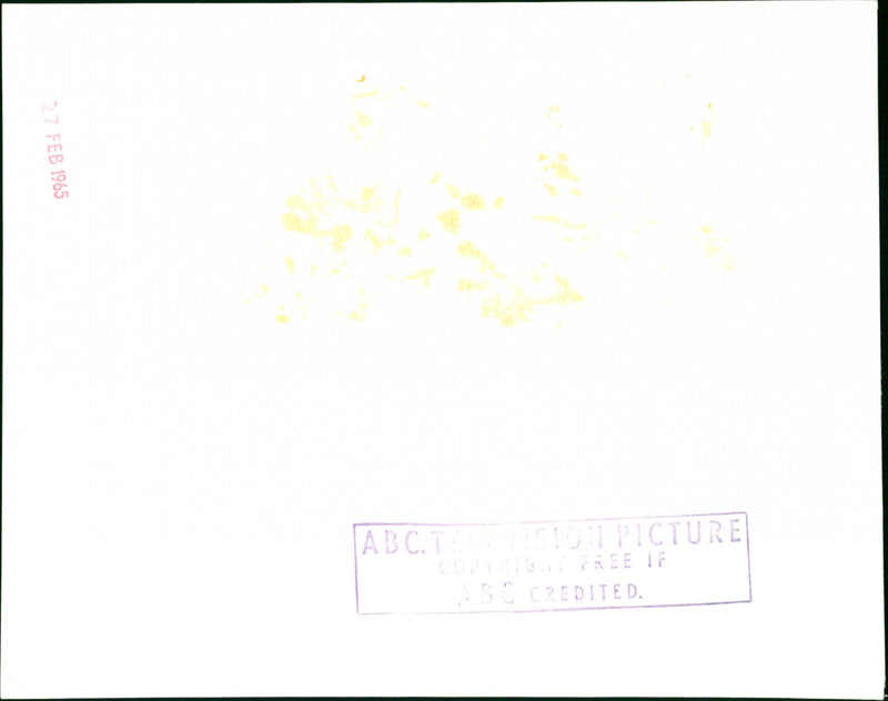 Sylvia Syms - Vintage Photograph