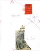 Twiggy - Vintage Photograph