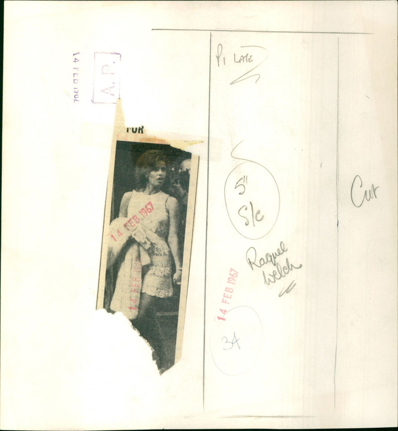 Raquel Welch - Vintage Photograph