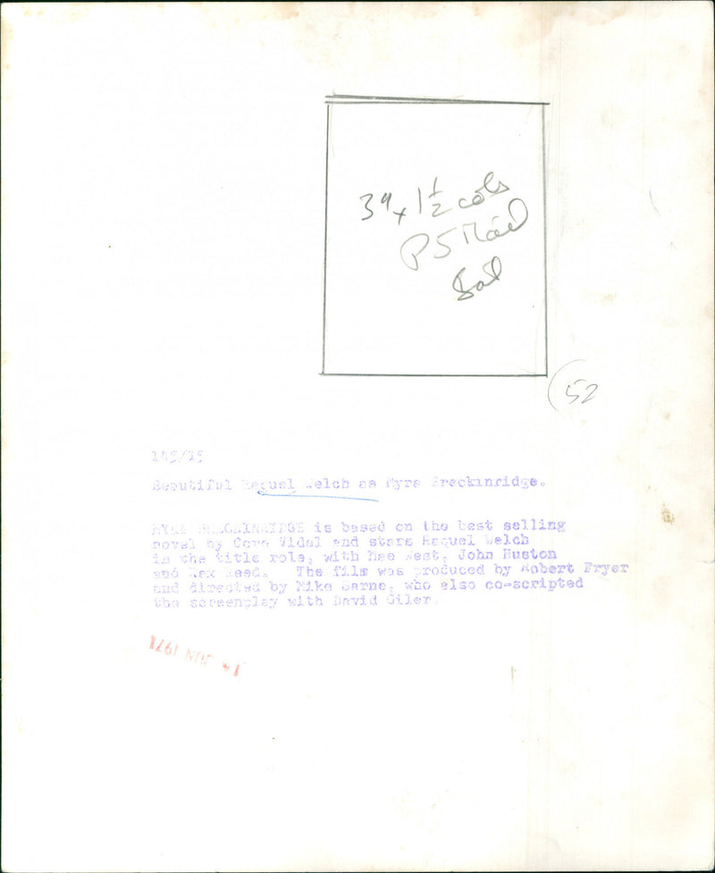 Raquel Welch - Vintage Photograph