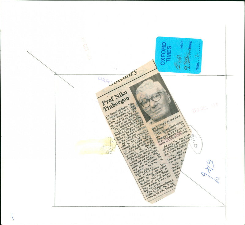 Nikolaas Tinbergen - Vintage Photograph