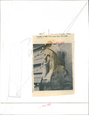 Twinkle - Vintage Photograph