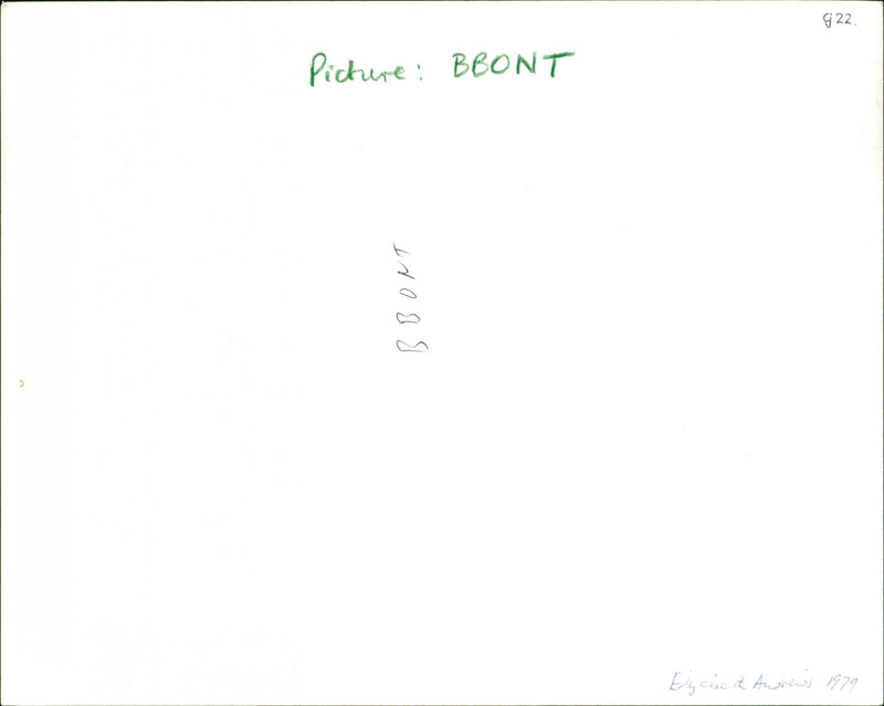 Otter - Vintage Photograph