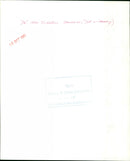 Dr. Niko Tinbergen - Vintage Photograph