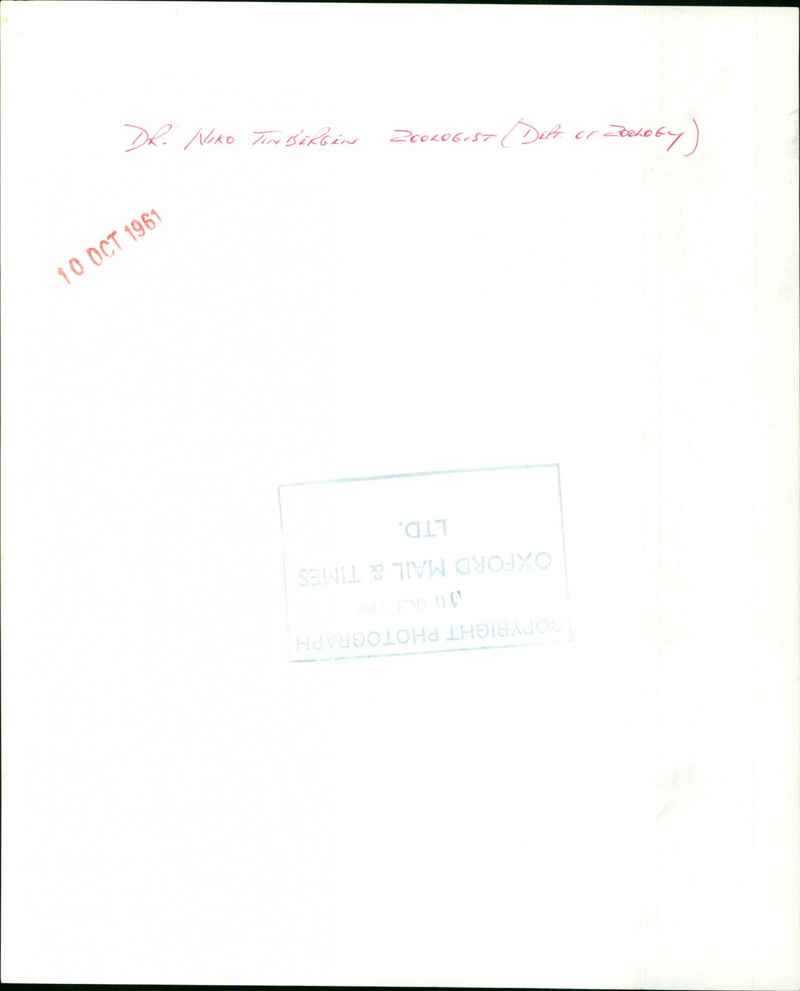 Dr. Niko Tinbergen - Vintage Photograph