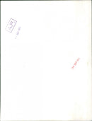 Twiggy - Vintage Photograph