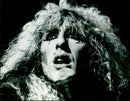 Dee Snider - Vintage Photograph