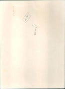 Raquel Welch - Vintage Photograph