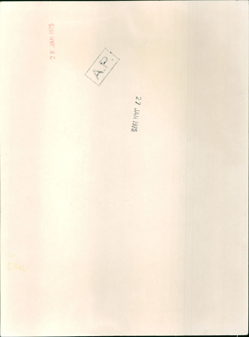 Raquel Welch - Vintage Photograph