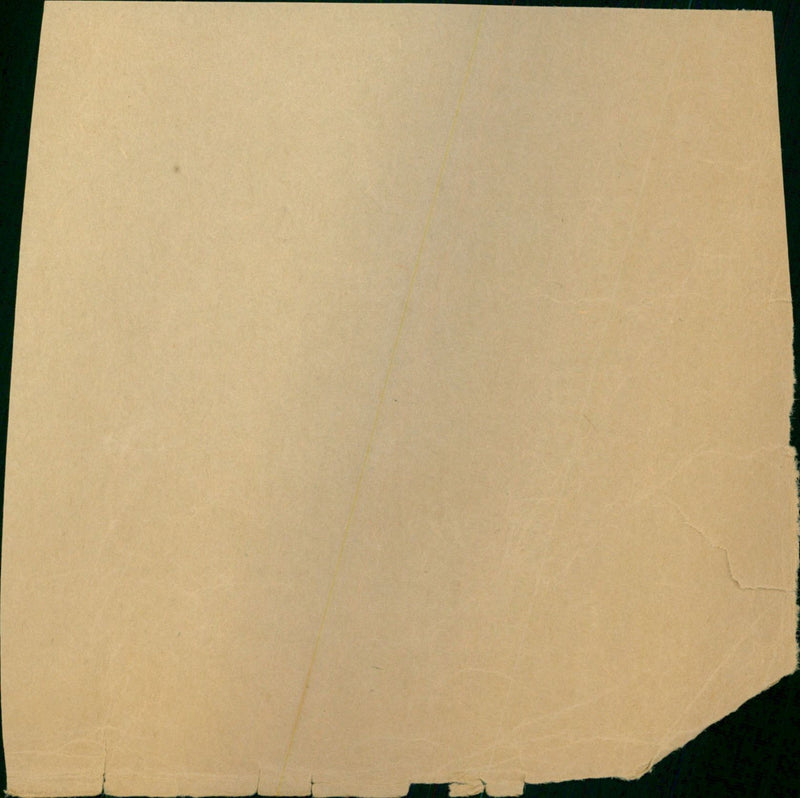 Elizabeth Welch - Vintage Photograph