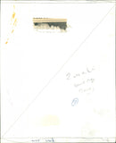 Greyhound trainer - Vintage Photograph