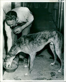 Greyhound trainer - Vintage Photograph