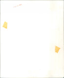 Raquel Welch - Vintage Photograph