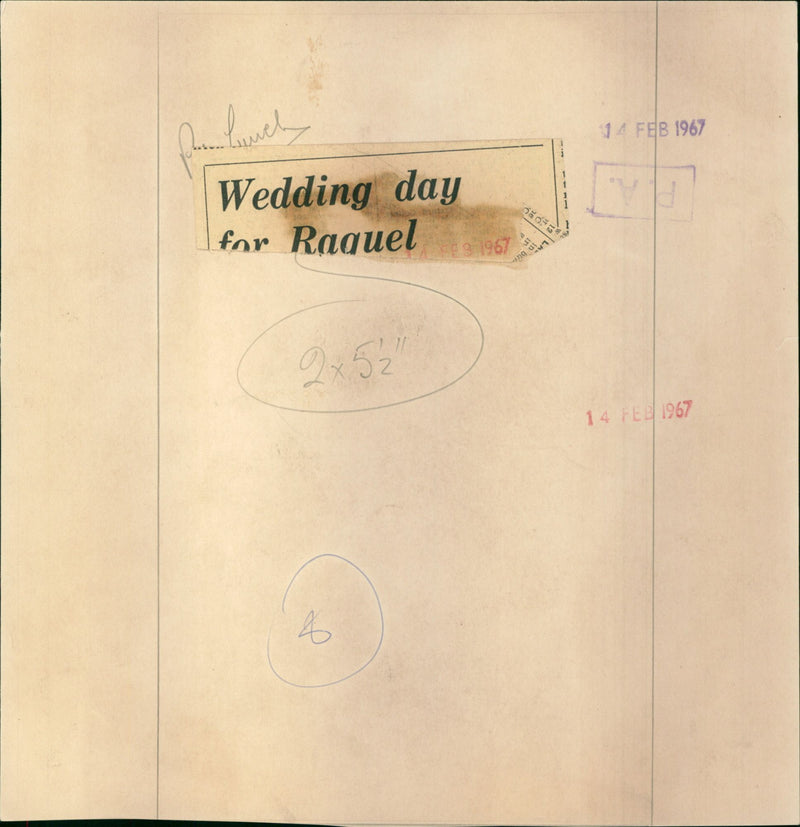 Raquel Welch - Vintage Photograph