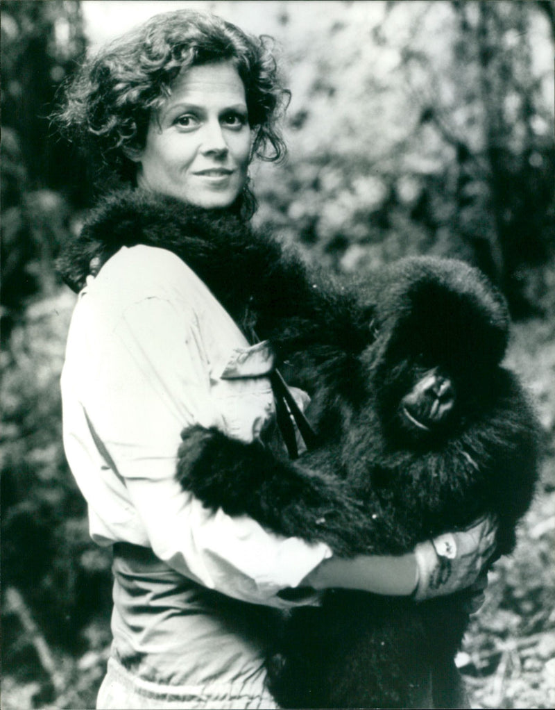 Sigourney Weaver - Vintage Photograph