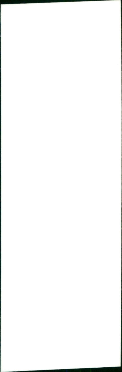 Mr. Peter Weston - Vintage Photograph