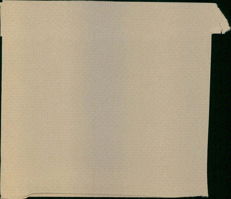 Webster Camann - Vintage Photograph