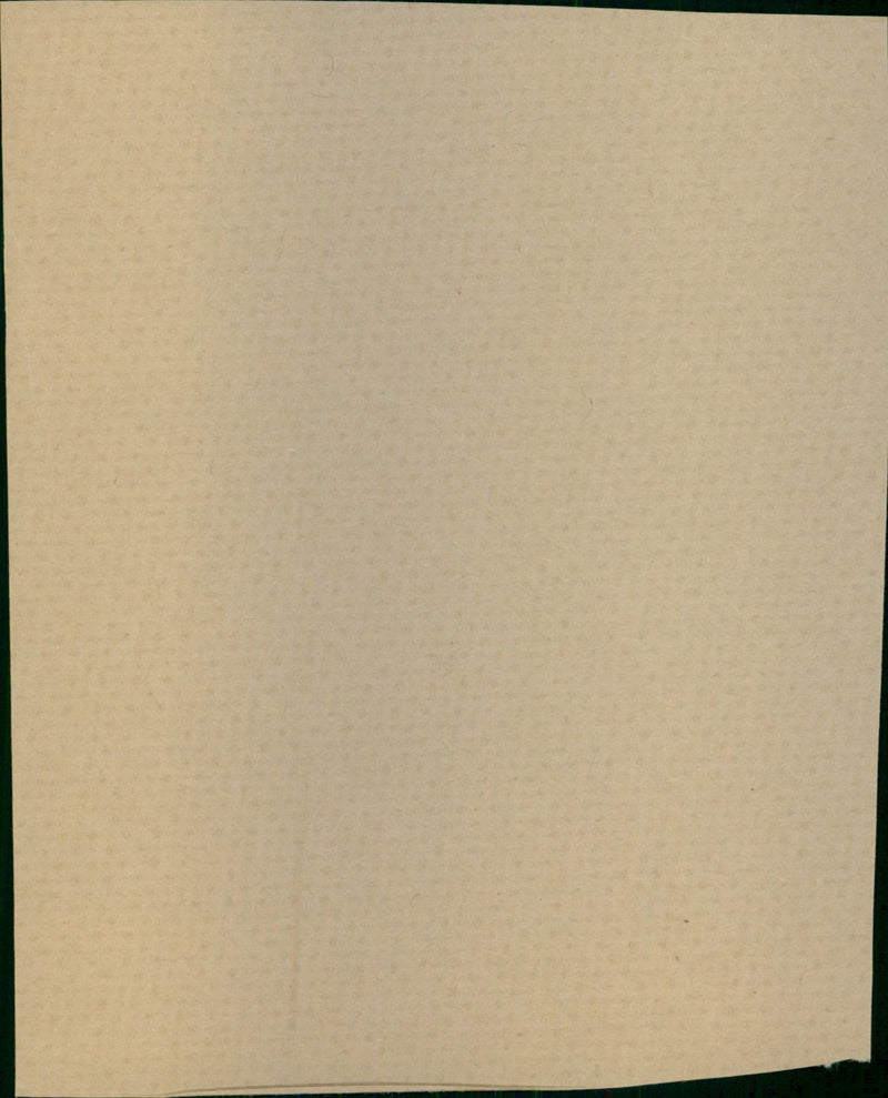 West David - Vintage Photograph