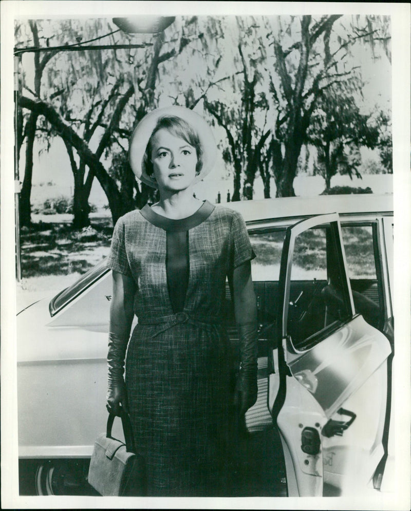 Olivia de Havilland - Vintage Photograph